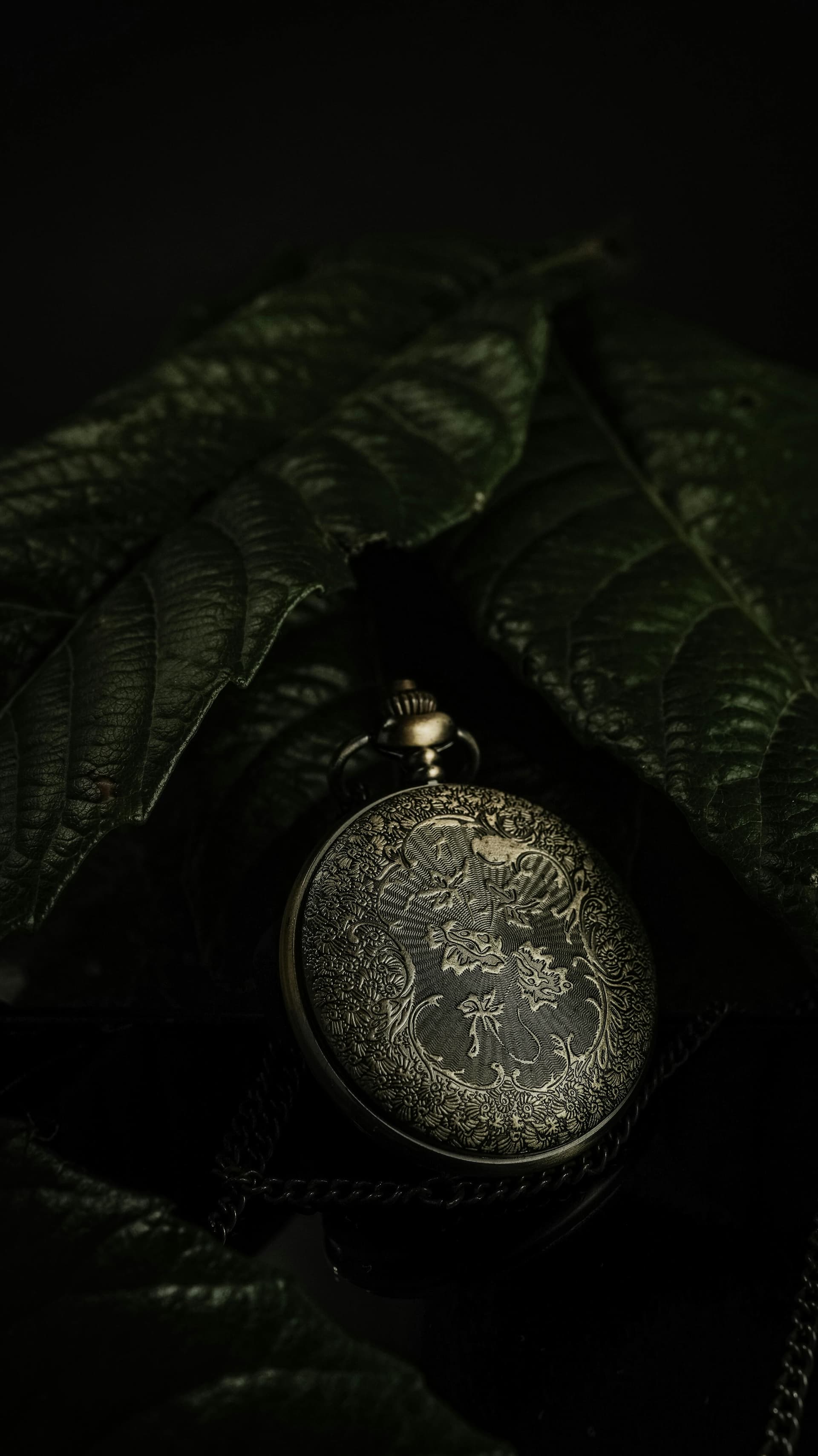 You Are Not Going Backwards — You Are Resetting the Timeline